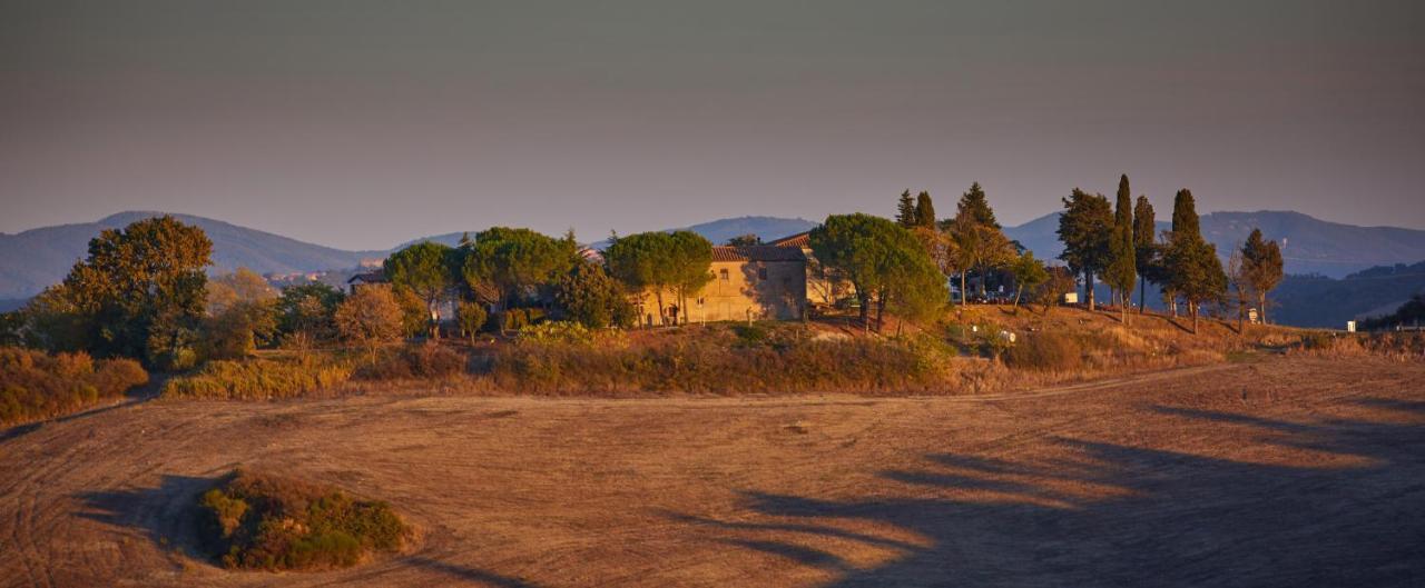 Bed and Breakfast Podere San Francesco Volterra Exterior foto